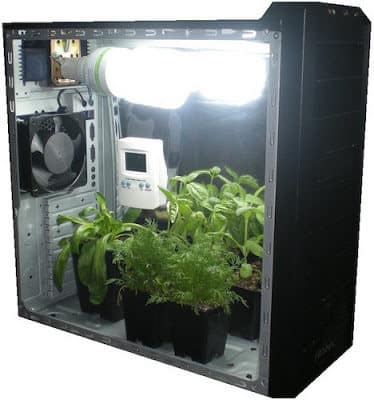 mini+grow+box