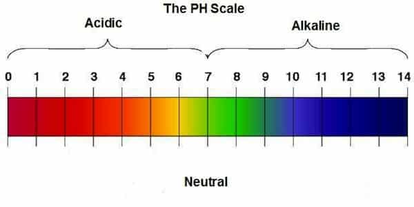 ph-scale-terreno