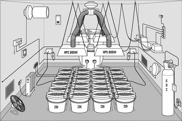 Grow-Box-Guida-alla-Scelta-di-quella-Giusta